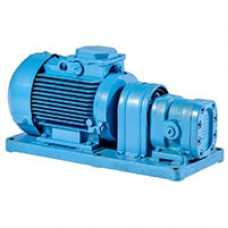 Шестеренный насос БГ11-25